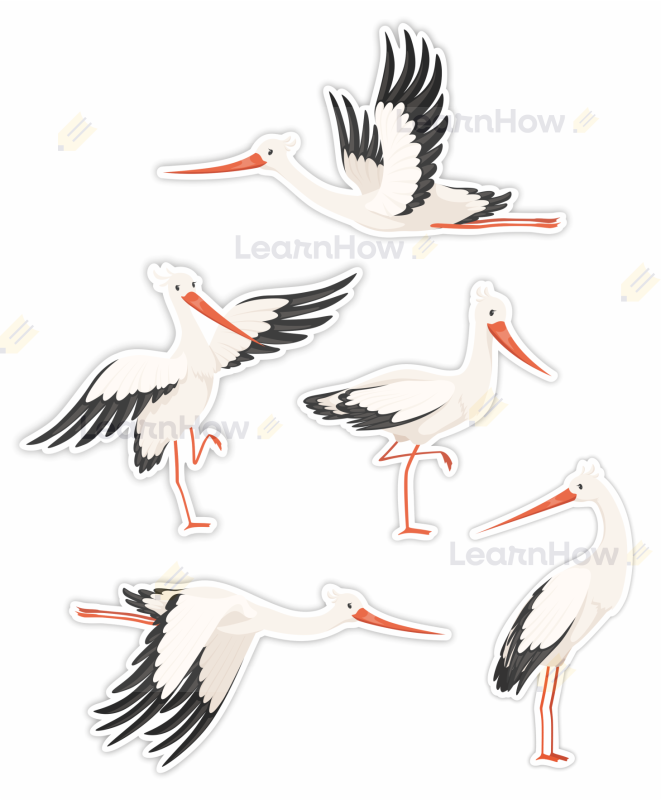 DEKORACJA DWUSTRONNA - BOCIANY - WIOSNA.png