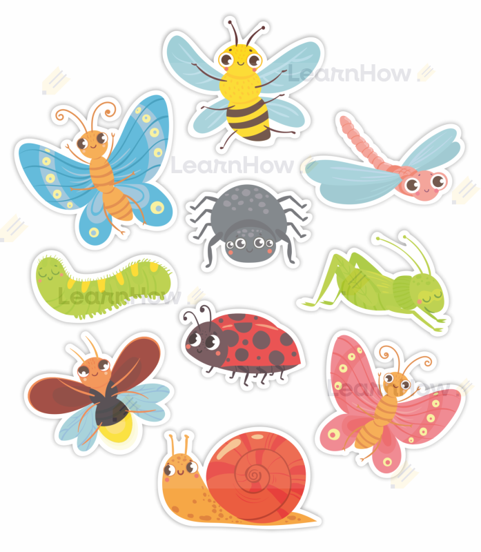 Dekoracja wiosenna - małe zwierzątka, owady, zestaw owadów.png