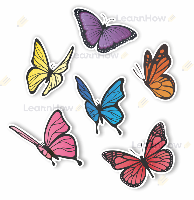 Motyle dwustronne - dekoracyjne motyle dwustronne kolorowe - ozdoba wiosna.png