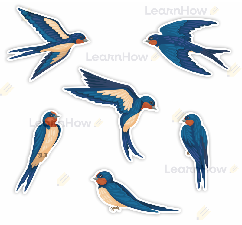 Ozdoba wiosenna - dekoracja wiosna - wiosna - ozdoby na okno - jaskółki - dekoracja.png