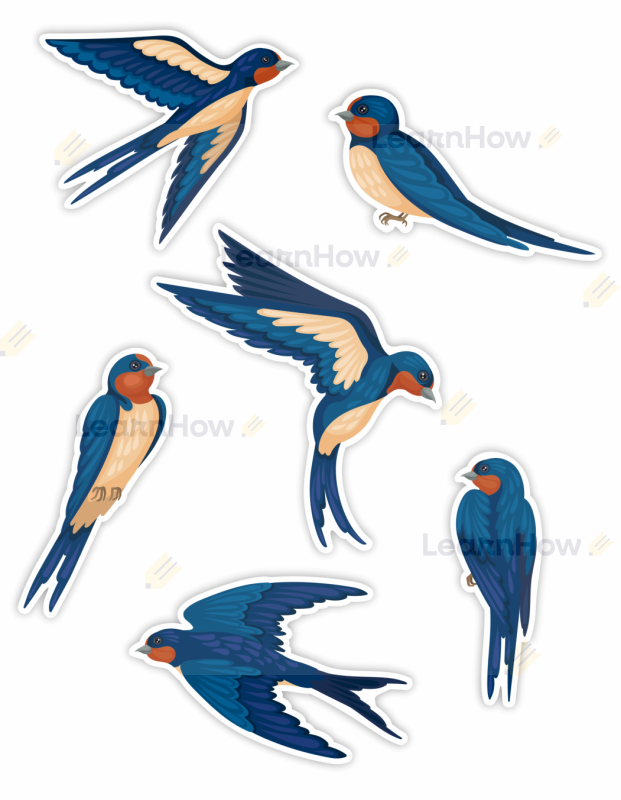 Dekoracja dwustronna jaskółki - jaskółeczki - ozdoba na okno ptaszki.png