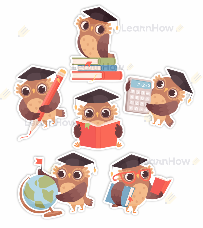 Sowy - Dekoracja edukacyjna - dekoracja do szkoły - sowa z biretem, ozdoby szkolne.png