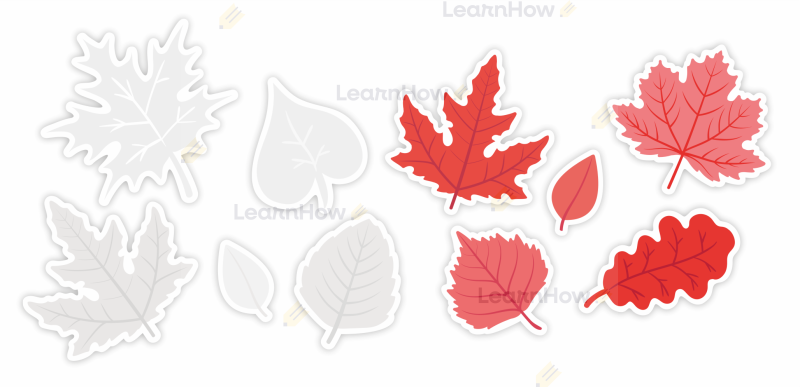 Liście patrioryczne - biało czerwone liście.png