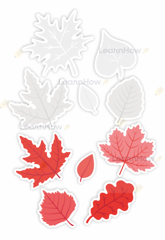 Liście patriotyczne dekoracja polska - biało czerwone liście - dekoracja święto niepodległości.png