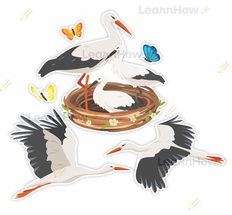 duże bocianie gniazdo, gniazda bocianów, duża dekoracja bociany bociany na wiosnę.png