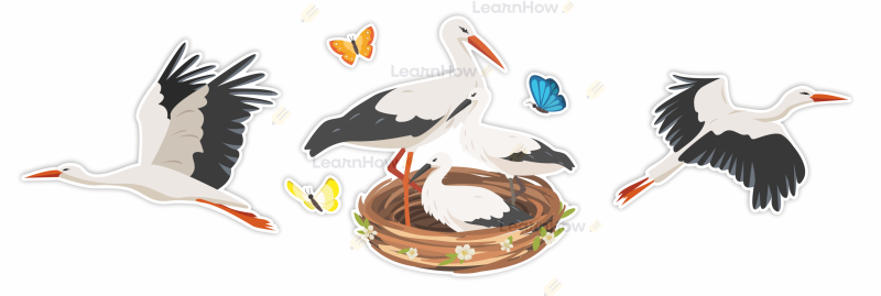 Bociany, bocianie gniazdo, gniazdko, małe bociany, dekoracja duża bociany.png