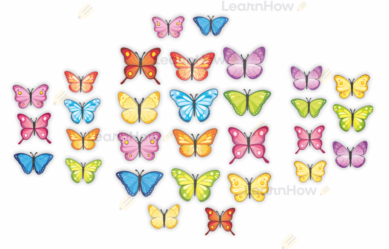 Duża dekoracja - duży zestaw motyli 3d - motylki latające trójwymiarowo - motylki skrzydełka wiosna.png