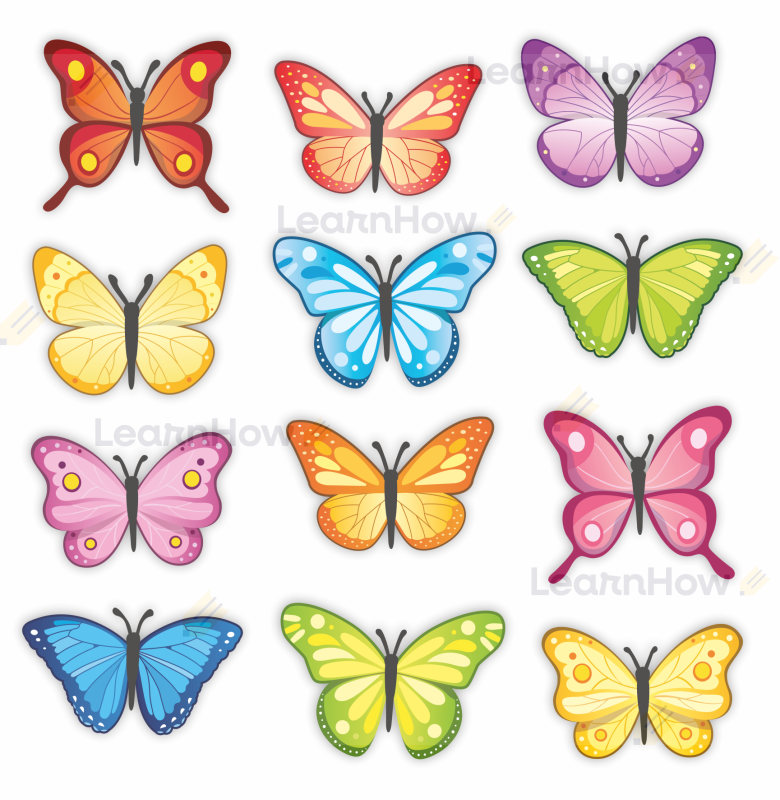 Dekoracja 3D motyle wiosenne - kolorowe motylki duży zestaw.png