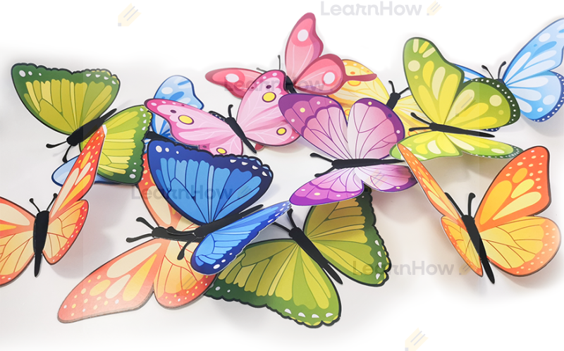 Motylki duży zestaw dekoracyjny - motyle 3D.png