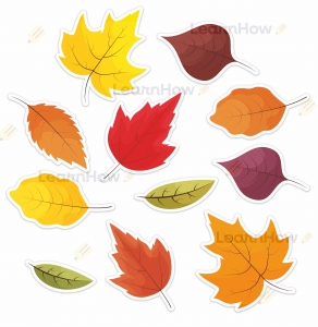 OZDOBY OKIENNE JESIEŃ - LIŚCIE 01 (11 elem.)