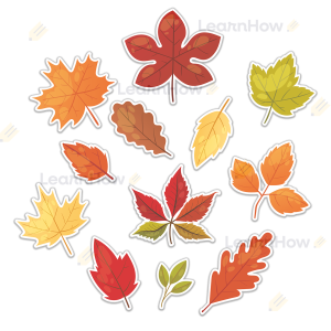 DEKORACJA JESIEŃ -  DUŻE LIŚCIE JESIENNE (dwustronne)