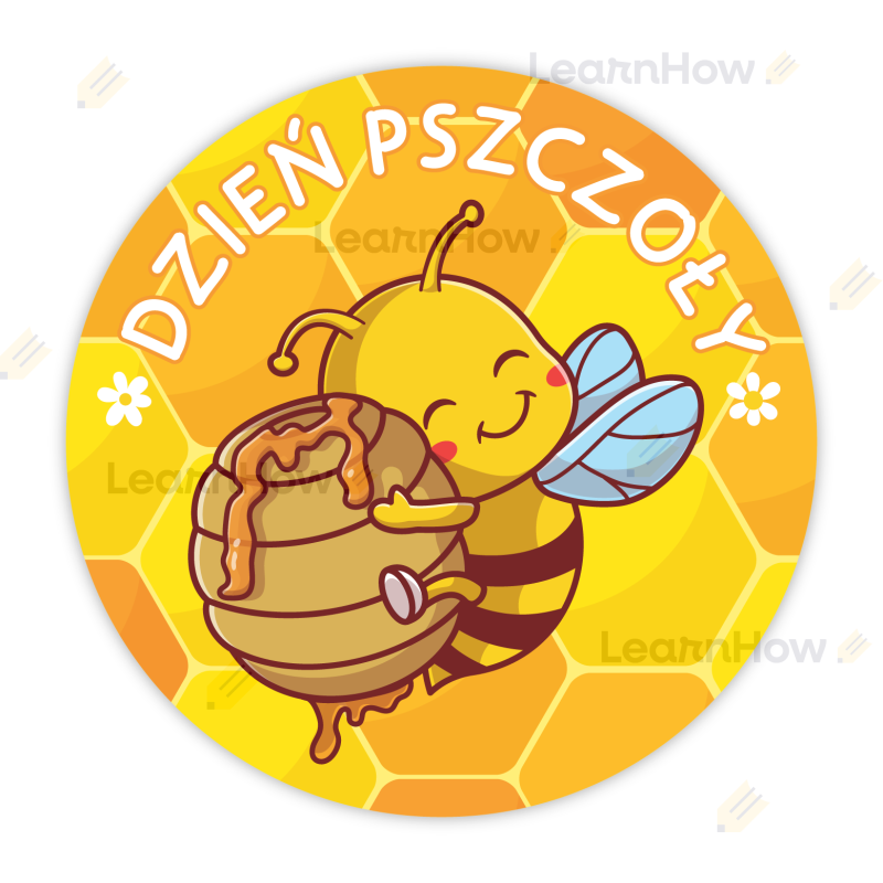LH-ST-DP01-1.png