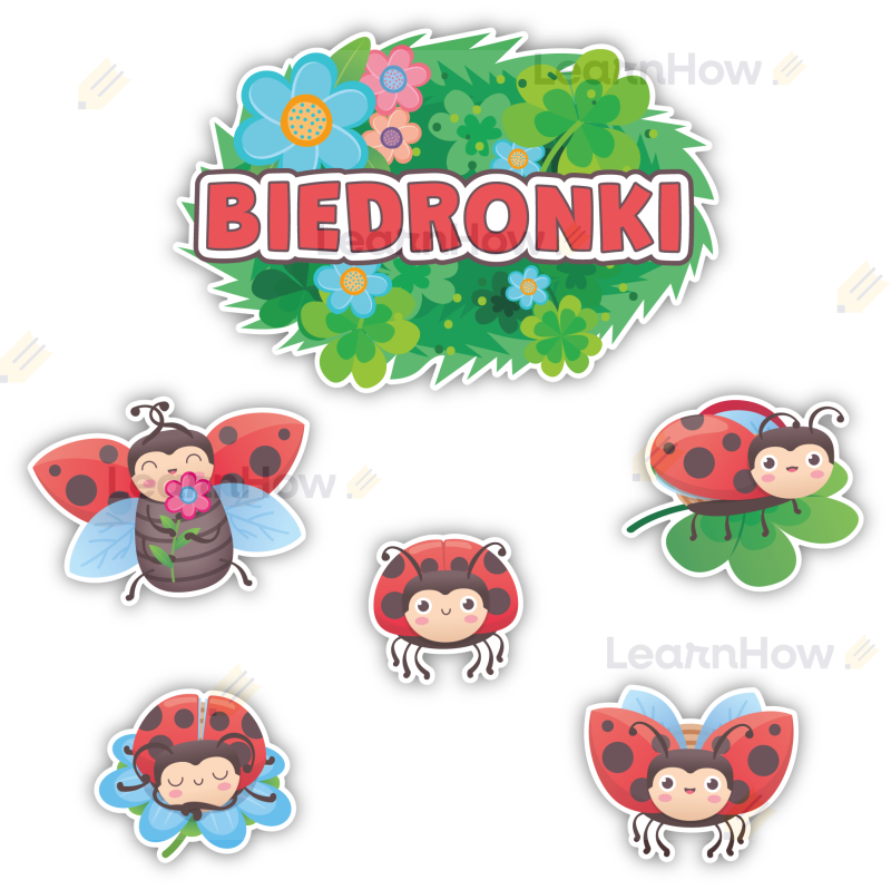 DEKORACJE KLASOWE - GRUPA BIEDRONKI (6 szt., jednostronne) - LH-DK10_min_00.png