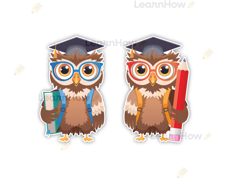 DEKORACJE SZKOLNE - DUŻE SOWY W BIRETACH 01 (2 szt., dwustronne) - LH-DSZ47_min_01.png