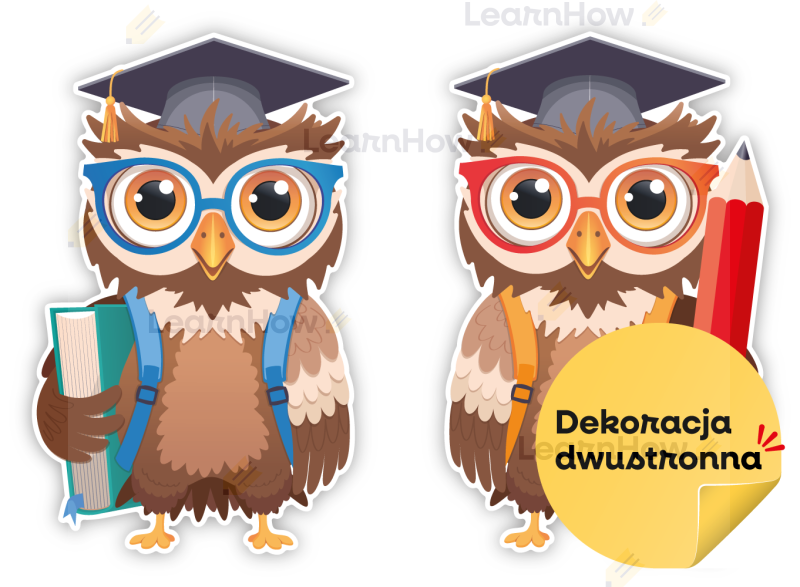 DEKORACJE SZKOLNE - DUŻE SOWY W BIRETACH 01 (2 szt., dwustronne) - LH-DSZ47_min_00b.png