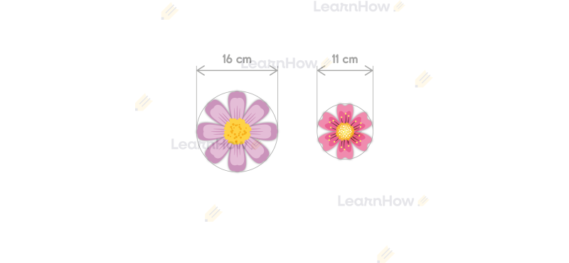 DEKORACJE WIOSENNE - KWIATY 3D (12 szt., dwustronne) - LH-DW56_min_02.png