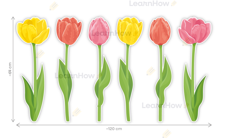 DEKORACJE WIOSENNE - TULIPANY XXL (6 szt., dwustronne) - LH-DW67_min_02.png