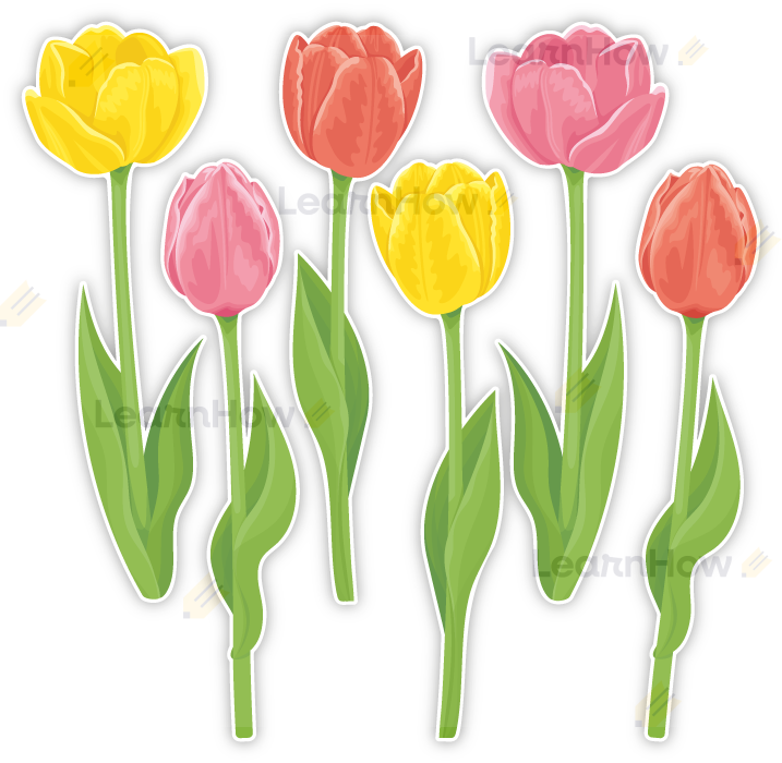 DEKORACJE WIOSENNE - TULIPANY XXL (6 szt., dwustronne) - LH-DW67_min_00.png