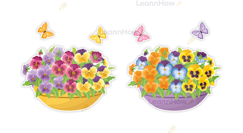 DEKORACJA WIOSENNA - BRATKI (6 szt., dwustronne) - LH-DW71_min_01.png