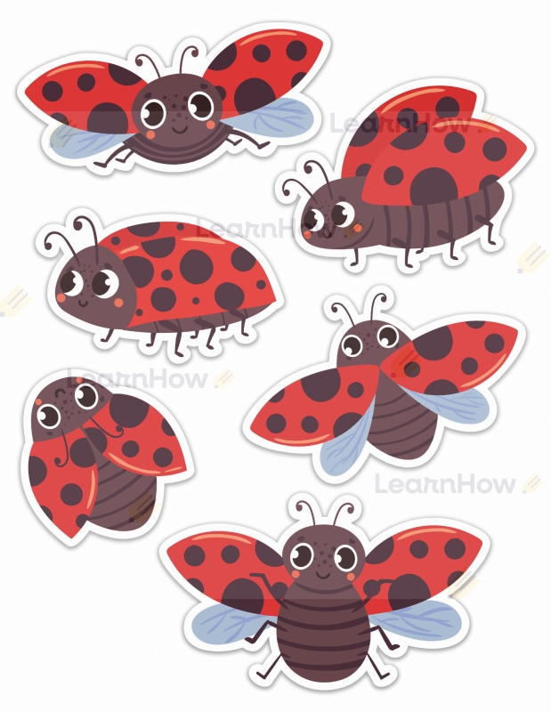 Biedronki dekoracja ozdoby szkolne przedszkolne na okno