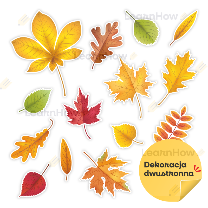 DEKORACJE-JESIENNE---LIŚCIE-JESIENNE---LH-DJ31_min_00A.png