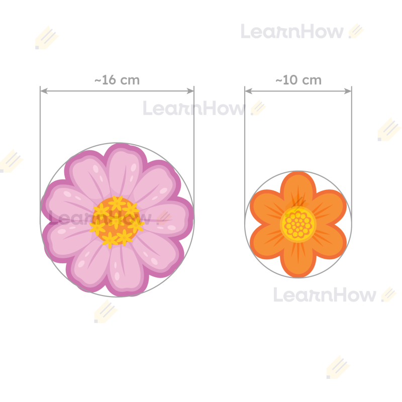 LH-DW86-04.png