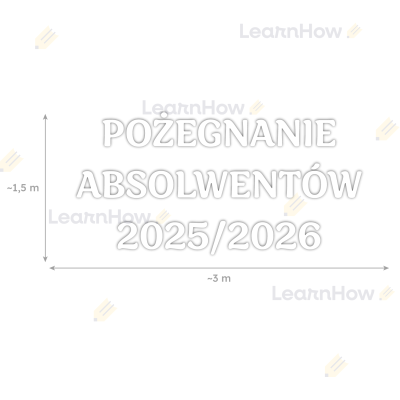 LH-DSZ95-04.png